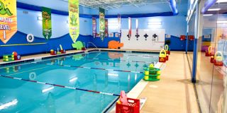swimming for babies dallas Aqua-Tots Swim Schools Richardson