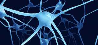 specialized physicians neurology dallas Neurology Clinic - Neuromuscular