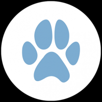 dog grooming courses dallas Kibble Pet Grooming | Preston Center