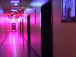 couples clubs in dallas Bliss Adult Arcade & Theater Swingers Club