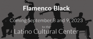centers to study flamenco in dallas The Flame Foundation and Dallas Flamenco Festival Inc.