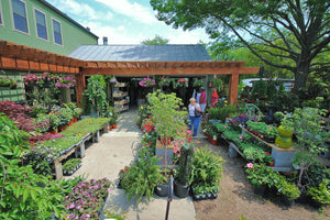 plant shops in dallas Walton’s Garden Center