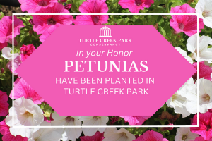 free parks dallas Turtle Creek Park