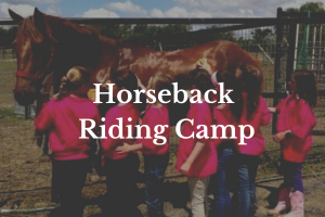 horse riding courses dallas Merriwood Ranch
