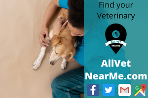 free veterinarian dallas Mission Vet Clinic