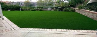 stores to buy artificial grass dallas The Perfect Lawn