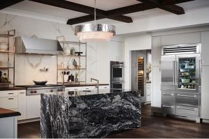 aesthetic appliance courses in dallas Sub-Zero, Wolf, and Cove Showroom
