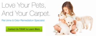 carpet wash dallas Aqualux Carpet Cleaning