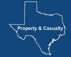 insurance courses dallas Texas Insurance Training Academy