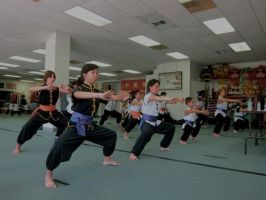 chinese classes in dallas Lee's White Leopard Kung-Fu