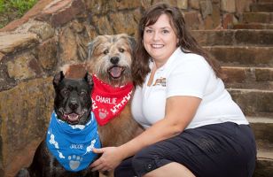 canine trainers dallas Traveling Dog Trainer