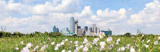 oncology clinics dallas Texas Oncology-Presbyterian Cancer Center Dallas